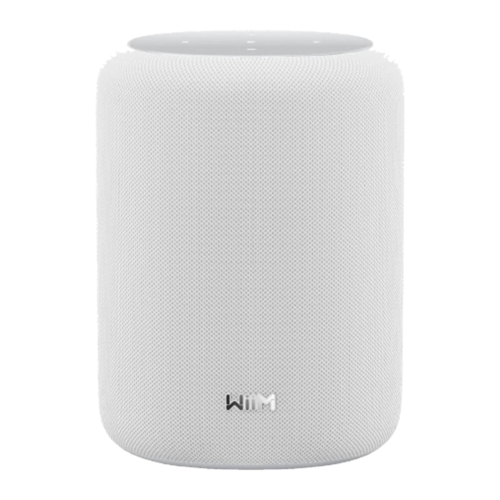 Wiim Sound Lite 100W WiFi 6E AirPlay Chromecast compatible con Alexa Altavoz Bluetooth
